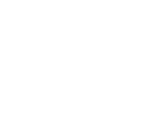 100 Jahre